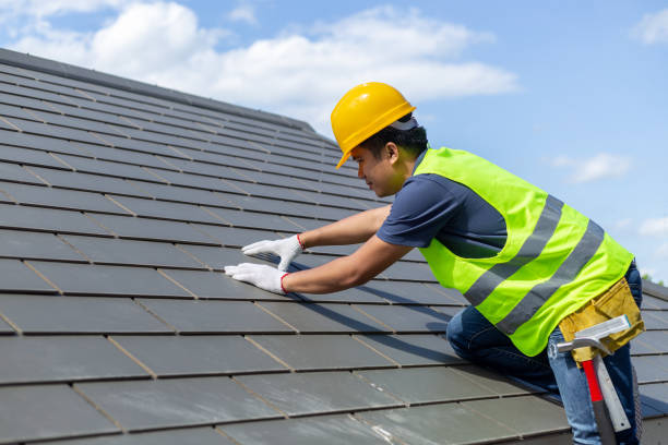 Best Flat Roof Repair Services  in Paynesville, MN