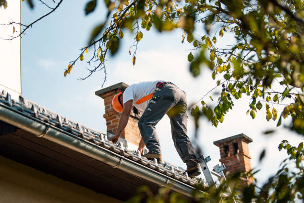 Best Storm Damage Roof Repair  in Paynesville, MN