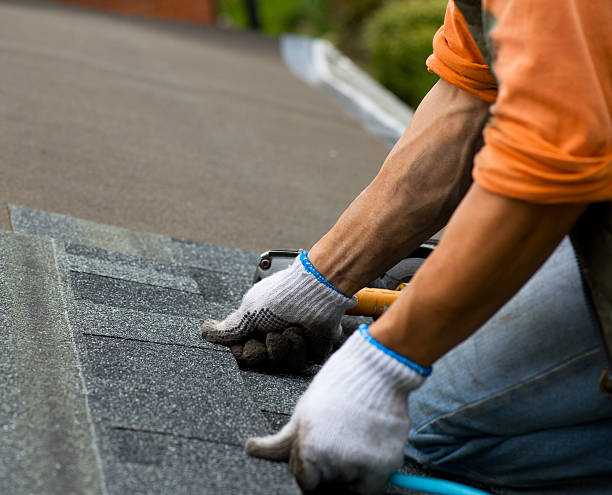 Best Roof Gutter Cleaning  in Paynesville, MN