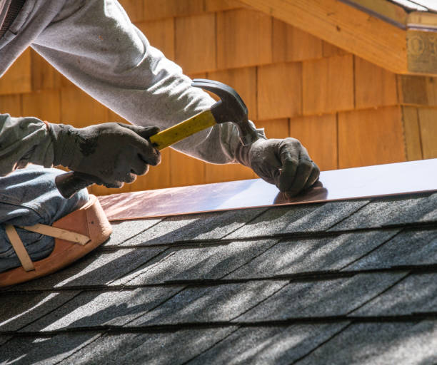 Best Roof Gutter Cleaning  in Paynesville, MN